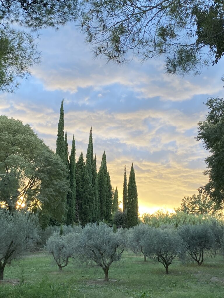 Les jardins au mas du grand chêne à Saint Rémy de Provence au coucher du soleil