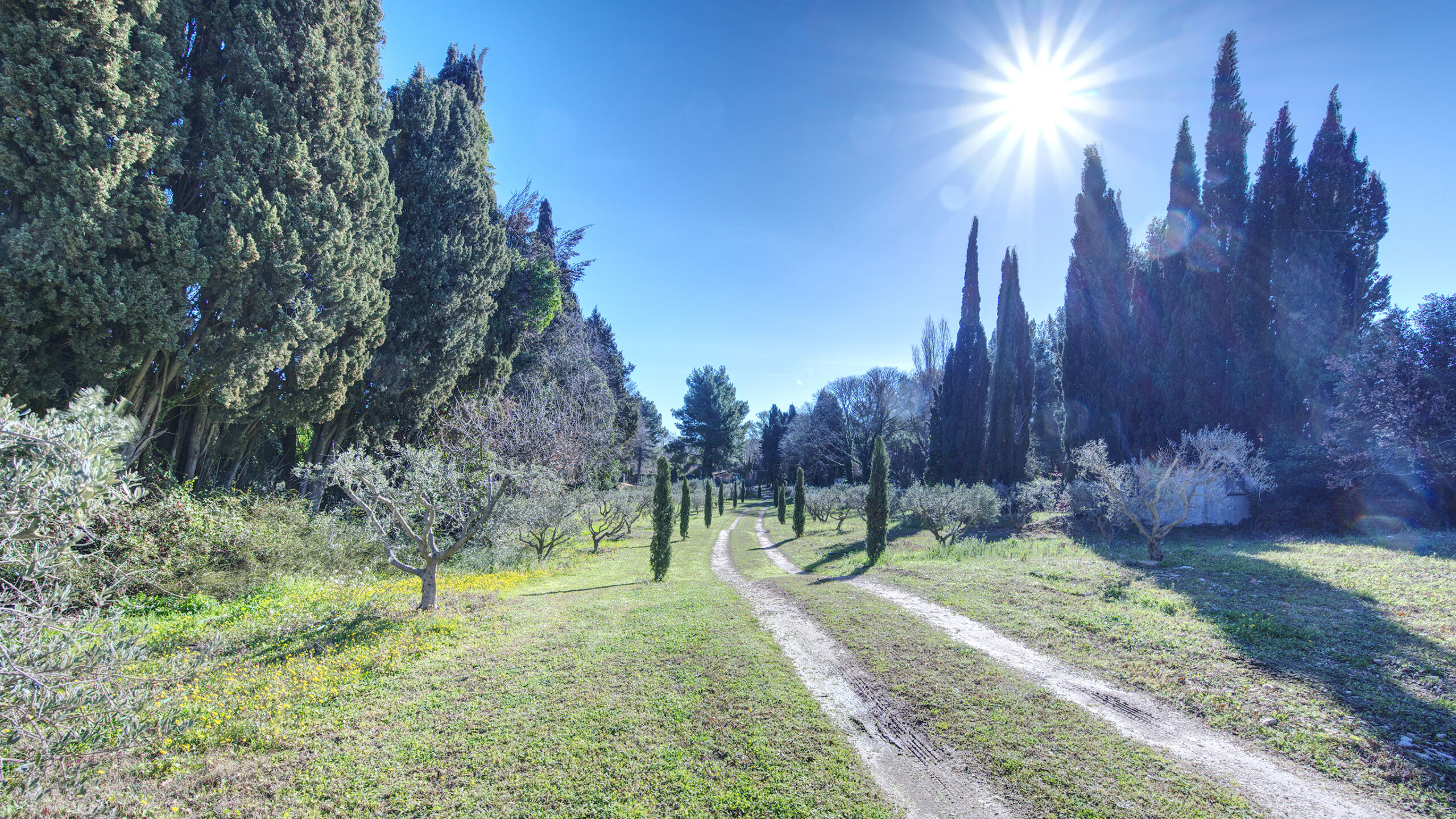 L'entrée sur le jardin du mas du grand chêne à Saint Rémy de Provence