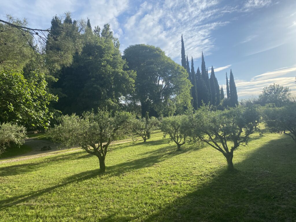 landscape for a holiday in Provence