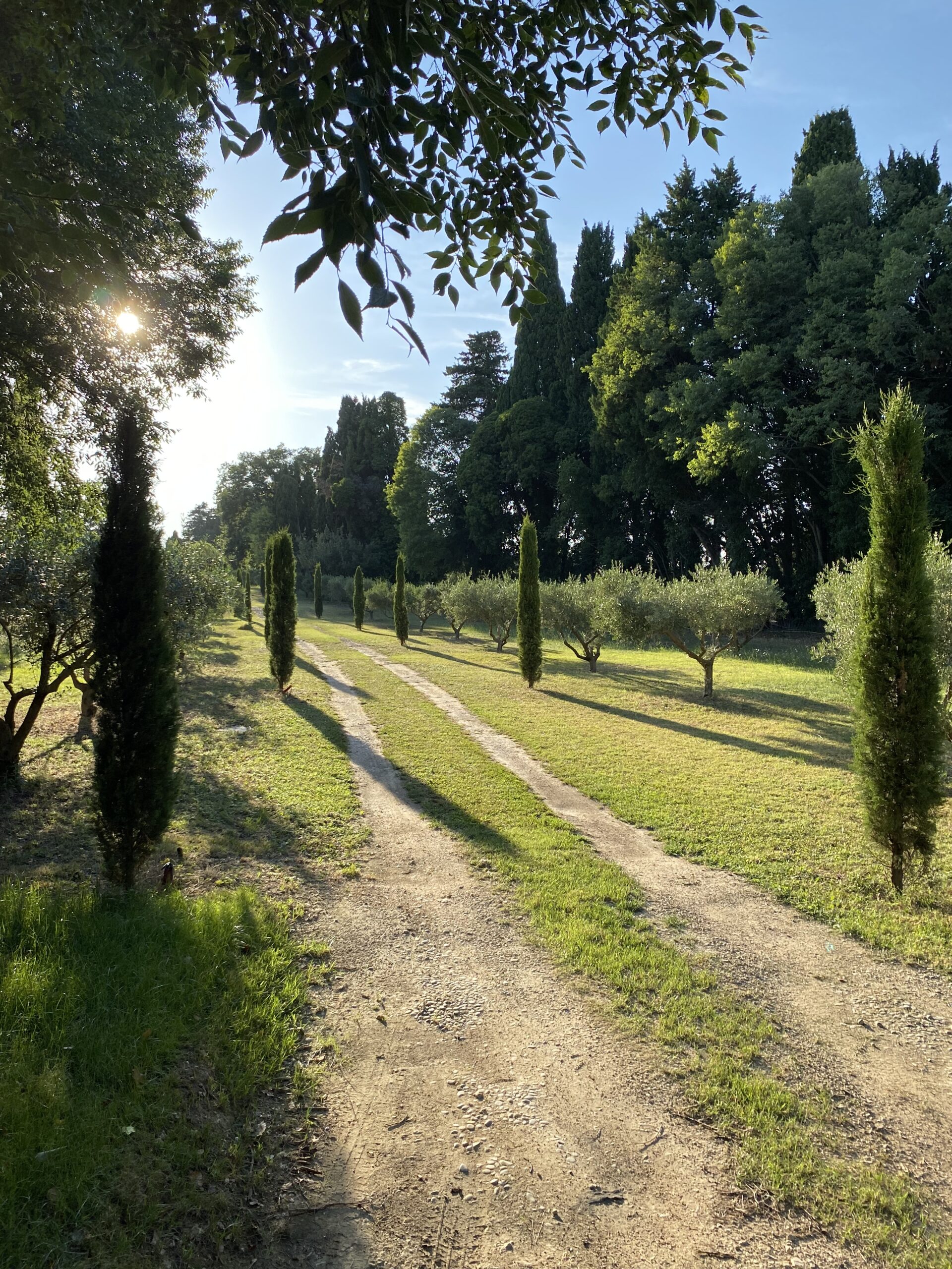 entrée du Mas du Grand Chêne à Saint Rémy de Provence à la location