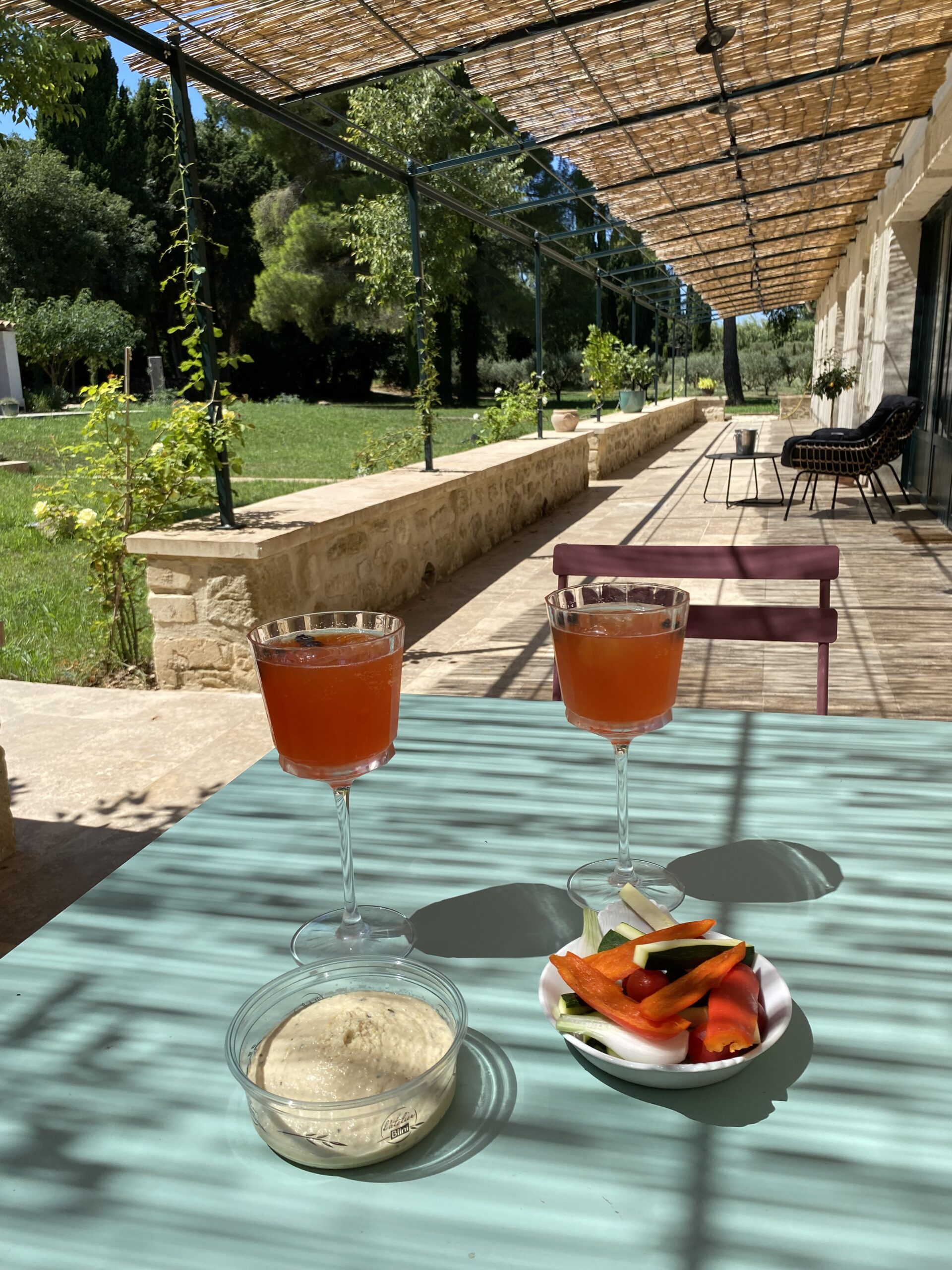 Petit apéritif au Mas du Grand Chêne à Saint Rémy de Provence à la location