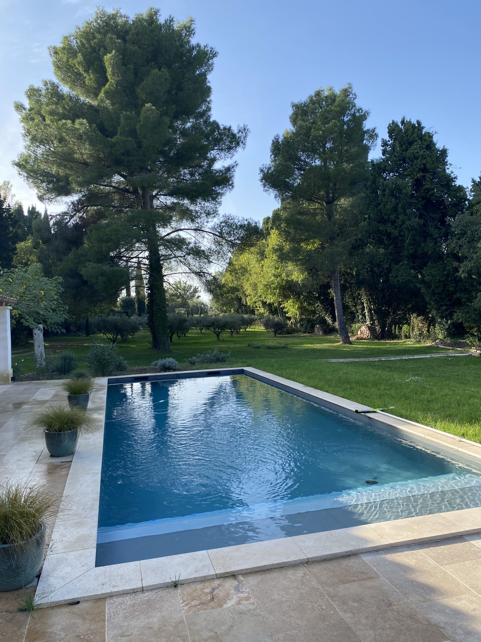 La piscine du Mas du Grand Chêne à Saint Rémy de Provence à la location
