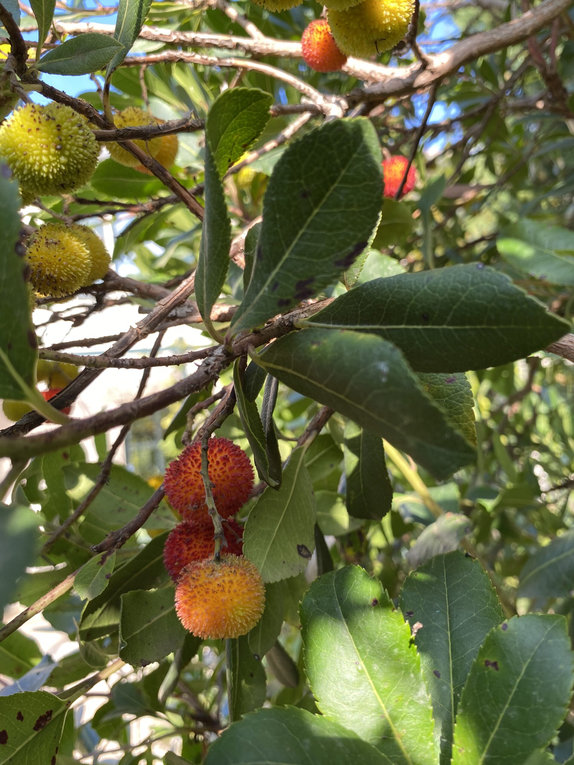 La nature en Provence