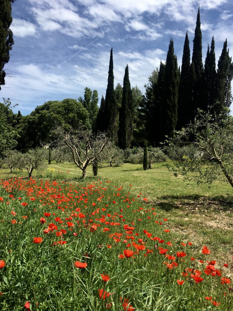 wo übernachten Provence Alpilles