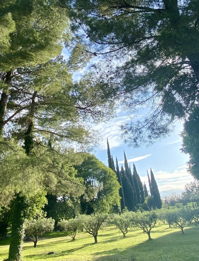 vakantiehuis provence Provençaalse levensstijl bij Mas du Grand Chêne