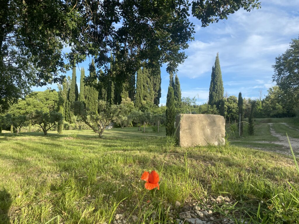 Ferienhaus in der Provence