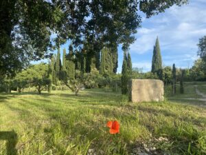 landschaft der alpilles in der provence
