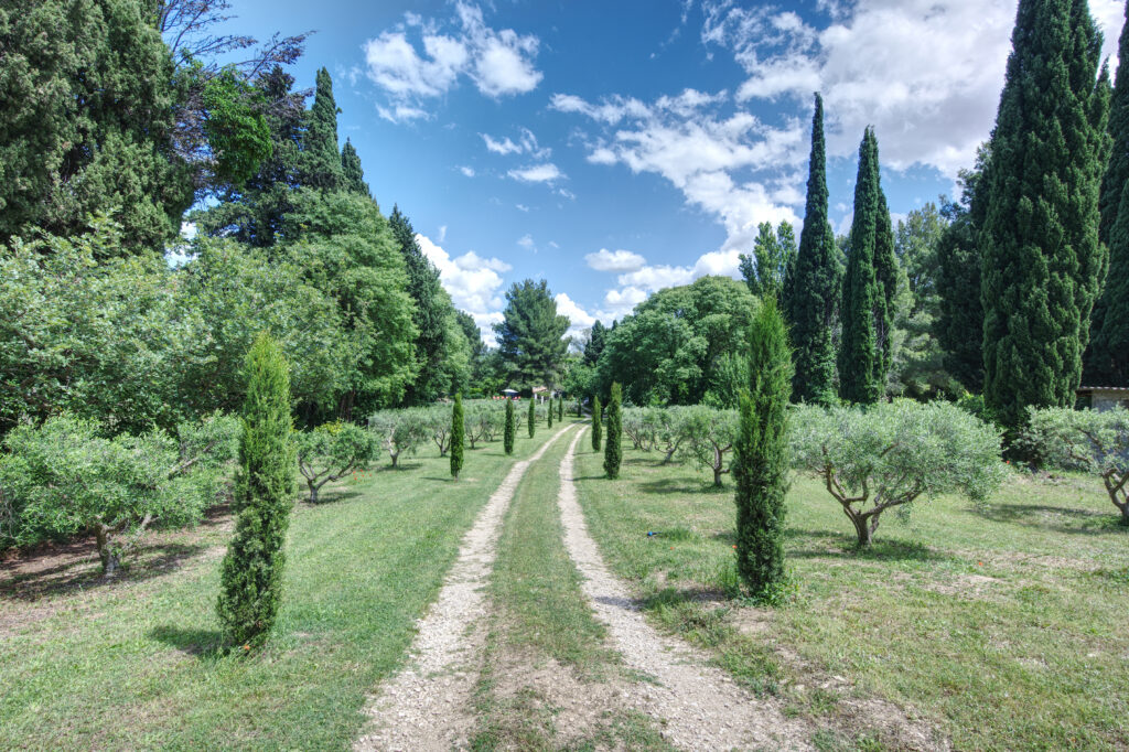 waar verblijven Provence Alpilles