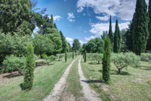 tuin van een luxe vakantiehuis in de Alpilles in Zuid-Frankrijk
